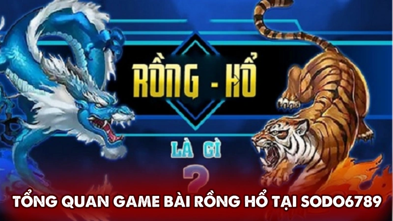 Tổng quan game bài Rồng Hổ tại Sodo6789 Tổng quan game bài Rồng Hổ tại Sodo6789