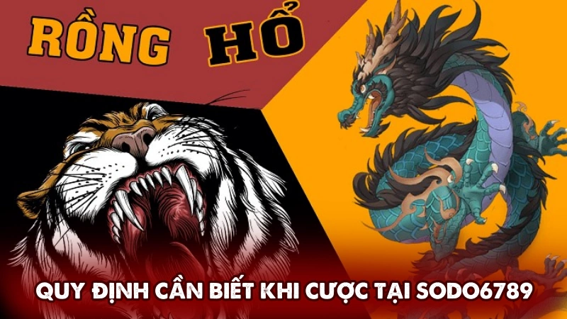 Quy định cần biết khi cược tại Sodo6789 Quy định cần biết khi cược tại Sodo6789