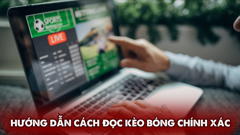 Hướng dẫn cách đọc kèo bóng chính xác Hướng dẫn cách đọc kèo bóng chính xác