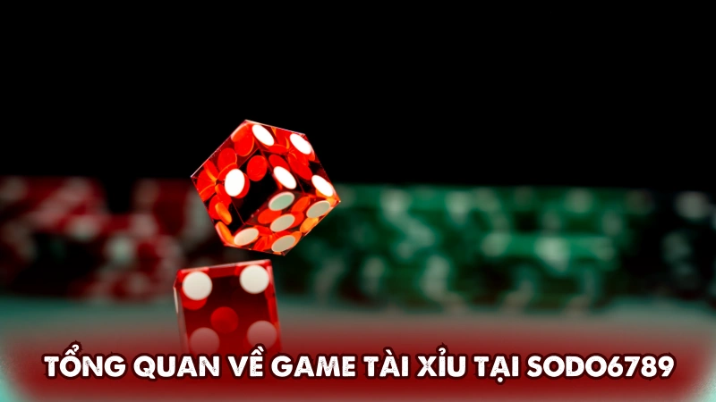 Tổng quan về game tài xỉu tại Sodo6789 Tổng quan về game tài xỉu tại Sodo6789