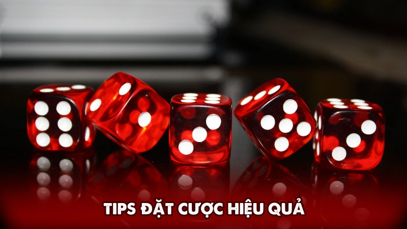 Tips đặt cược hiệu quả Tips đặt cược hiệu quả