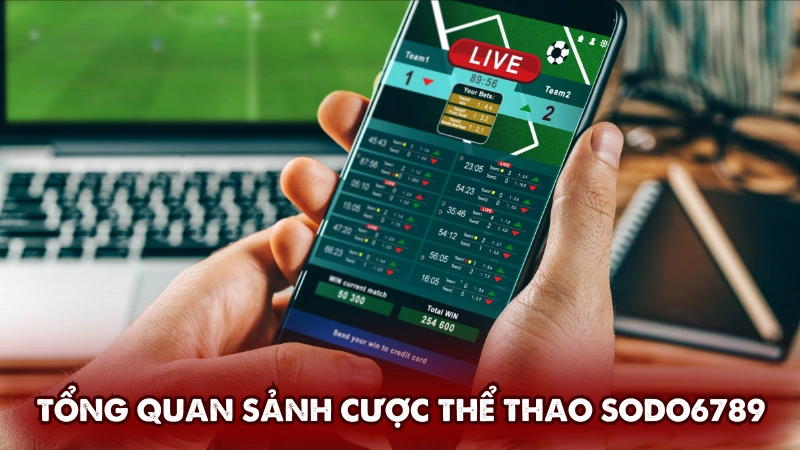 Tổng quan sảnh cược thể thao Sodo6789 Tổng quan sảnh cược thể thao Sodo6789