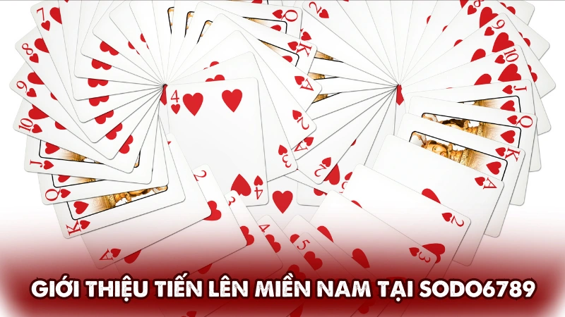 Giới thiệu game bài Tiến lên miền Nam tại Sodo6789 Giới thiệu game bài Tiến lên miền Nam tại Sodo6789