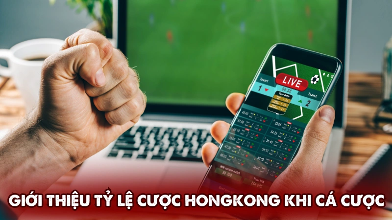 Giới thiệu tỷ lệ cược Hongkong khi cá cược Giới thiệu tỷ lệ cược Hongkong khi cá cược