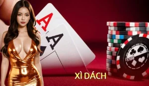 xì dách