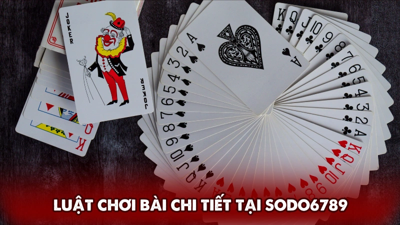 Luật chơi bài chi tiết tại Sodo6789 Luật chơi bài chi tiết tại Sodo6789