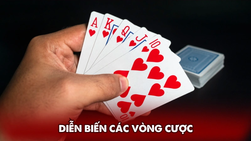 Diễn biến các vòng cược Diễn biến các vòng cược